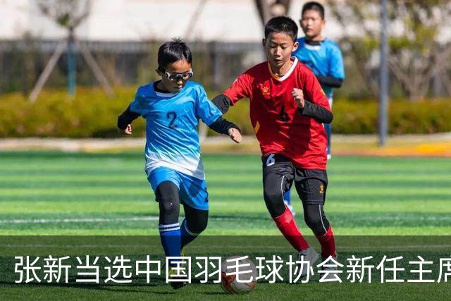 张新当选中国羽毛球协会新任主席 坚决推进反腐倡廉工作